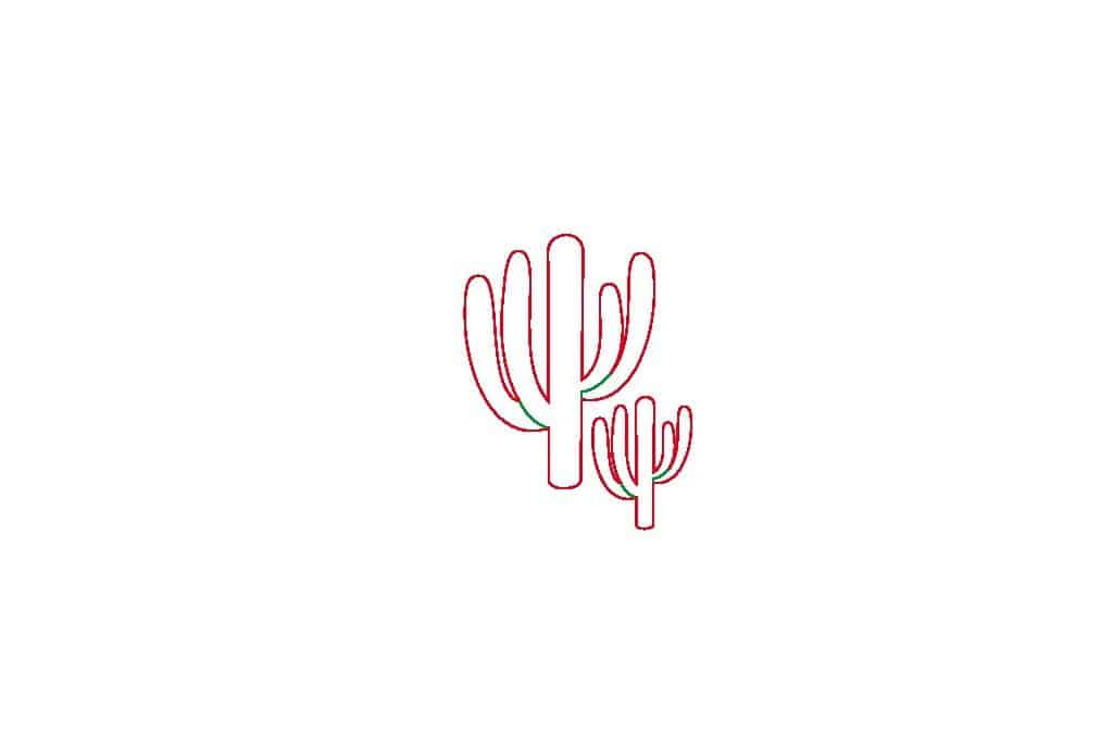 Cactus #2